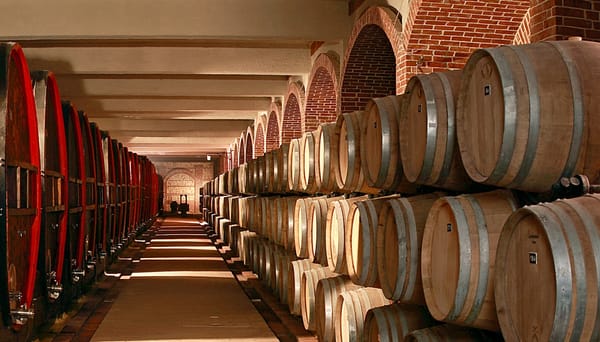 Frajle i Tijana Dapčević - hibridni koncert u BWH